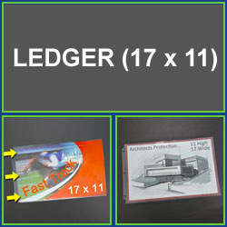 Ledger 11 x 17 Sheet Protectors